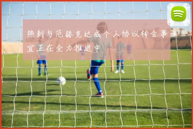 热刺与范赫克达成个人协议转会事宜正在全力推进中