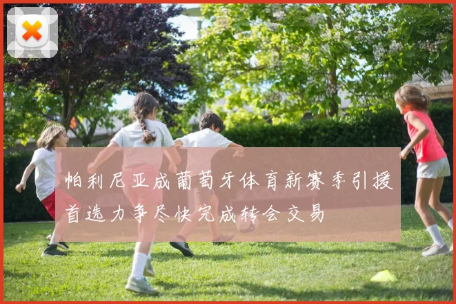 帕利尼亚成葡萄牙体育新赛季引援首选力争尽快完成转会交易