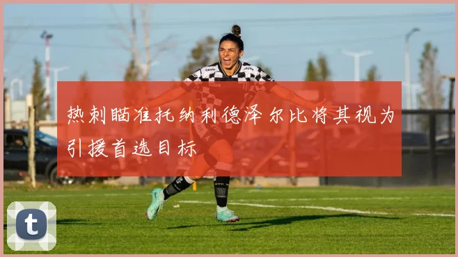 热刺瞄准托纳利德泽尔比将其视为引援首选目标